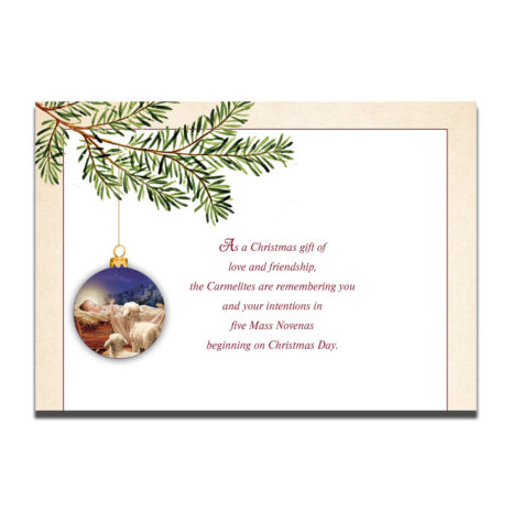 #243 Page 1 Christmas Novena message #243