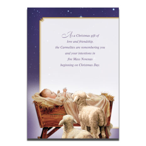 #249 Page 1 Christmas novena message #249