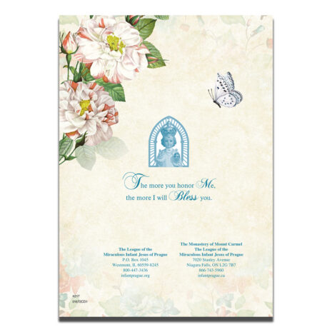 #217 Birthday Wishes Back #217 Birthday Wishes Back